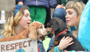 Two dogs sniff each other while two people talk at Extinction Rebellion Glasgow's Blue wave event
